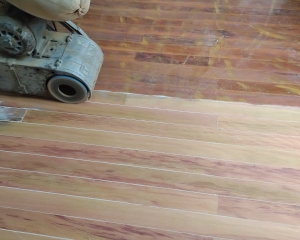 49256923210857060402523241091923340365820034n.jpg