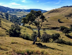 estrada-velha-2-.jpg